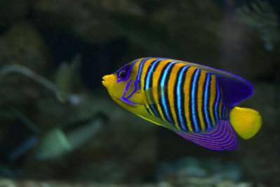 Hurghada Grand Aquarium